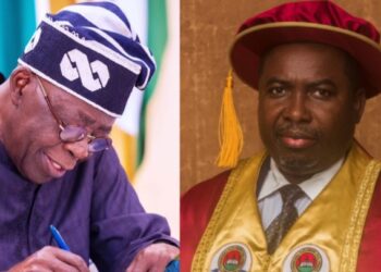 President Tinubu appoints Professor Amupitan as new INEC chairman