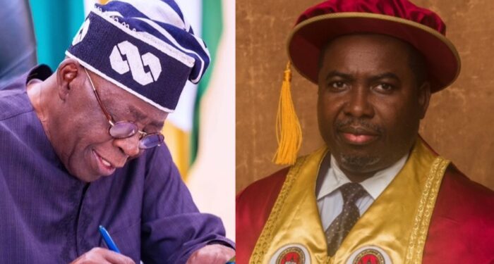 President Tinubu appoints Professor Amupitan as new INEC chairman